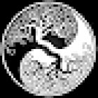 Shen Kung Tao (Tai Chi Chuan - Chi Kung)