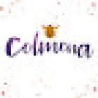 Colmena - Pole Dance , Elongación y Movimiento