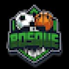 El Bosque Futbol 5