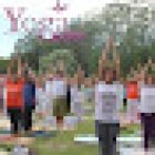 Yoga Vital - Ayur Yoga