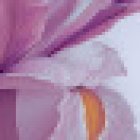 El Colibri Multiespacio