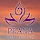 Prana Yoga y Meditación