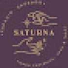 Saturna Espacio de Yoga, Acro Yoga y Meditación. Tarot terapéutico y evolutivo, Registros Akashicos, Reiki.