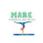 Gimnasia artística Gimnasio Mare