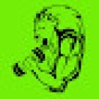 Lion Fitness Gimnasio y CrossFit