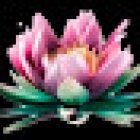 Espacio Holístico - Aurora Reborn