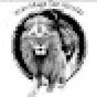 Defensa Personal Krav Maga San Nicolás