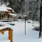 El Raulí del Bonito