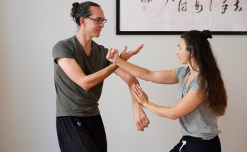 Long Zentrum 1070 Wien (Wing Chun Kung Fu, Qi Gong, Tai Chi) chinesische