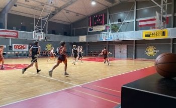 Austrian BasketFighters Basketball Sporthalle
