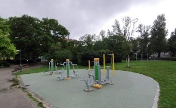 Free Gym
