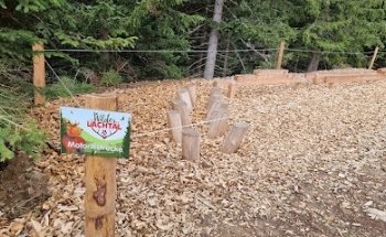 Motorikstrecke, Wildes Lachtal
