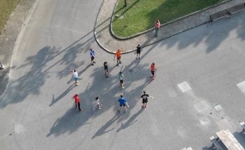 Trimago Training