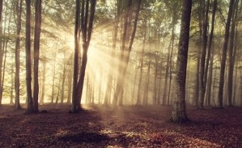www.restartlife.at - Ich lade Sie ein, Ihrem LEBEN neu zu begegnen.