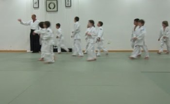 Aikido Iaido Shobukan Wien