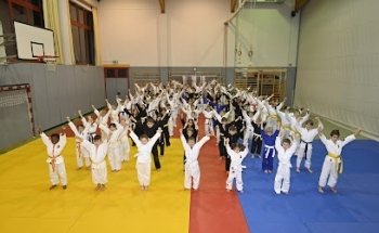 Jiu Jitsu Goshindo Pressbaum