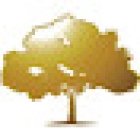 Golden Tree - Day Spa Wien - Fitness & Massage - AURIM