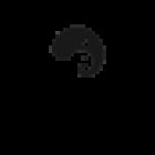 Sarani • Sandra Kurz