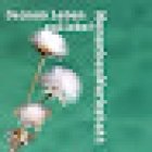 Menschenwerkstatt WITH