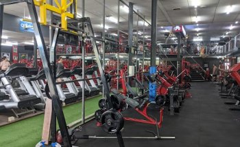 Muscle & Fitness Gym