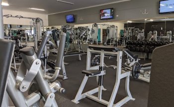 Fresh Fitness Co.