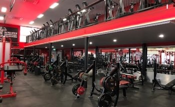 World Gym Bayside