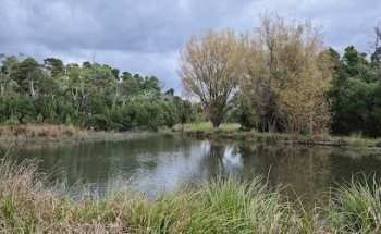 Bellbird Park Indoor Centre