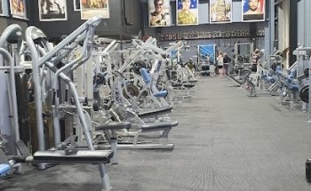 Muscle Hut