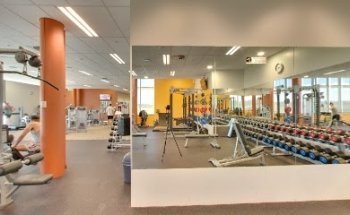 Anytime Fitness Oran Park