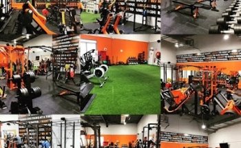Airlie Fitness