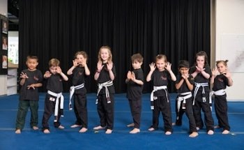 Dynamic Martial Arts & Fitness