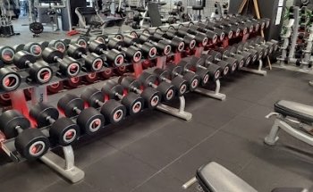 Equilibrium Health & Fitness Templestowe