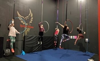 Levitate Pole and Aerial