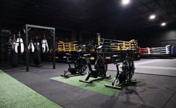 NTG Fight & Fitness