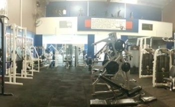 woodeez gym