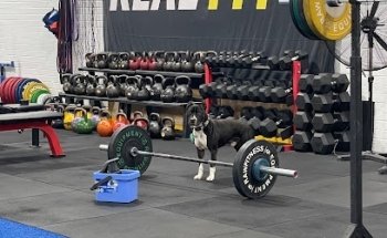 RealFITT Strength & Conditioning