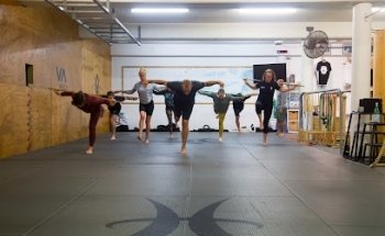 Holistic Pro Health Performance Studio
