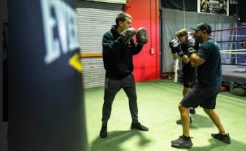 Pure Boxing