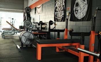 Stronghold Gym