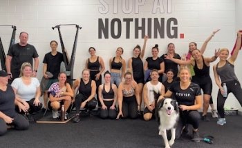 Fitstop Labrador