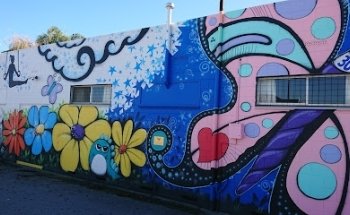 All Boys and All Girls Club - Queenstown Gymnastics