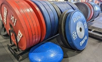 Iron Pigs Strength Club