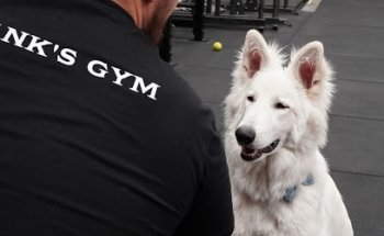 Frank's Gym Perth