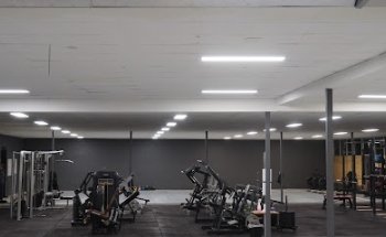 Body Boss Studio