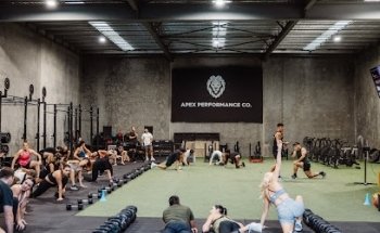 Apex Performance Co.