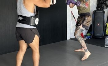 House Of Lions MMA