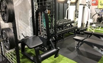 The Strength Studio Tsv