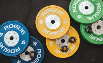 The Strength Institute