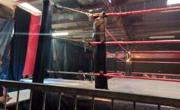 Adrenaline Pro Wrestling