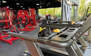 Kingdom fitness